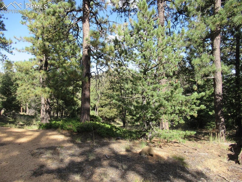 213 Coffee Pot Rd, Manitou Springs, CO 80829