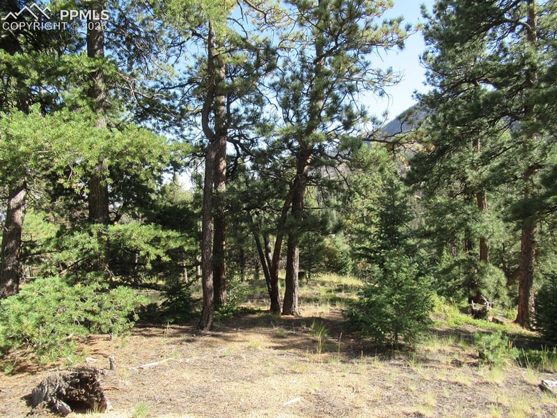 213 Coffee Pot Rd, Manitou Springs, CO 80829