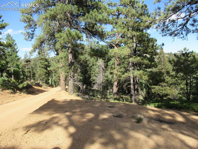 213 Coffee Pot Rd, Manitou Springs, CO 80829