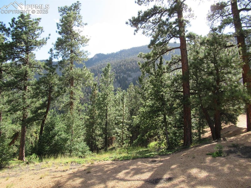 213 Coffee Pot Rd, Manitou Springs, CO 80829