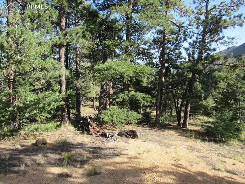 213 Coffee Pot Rd, Manitou Springs, CO 80829