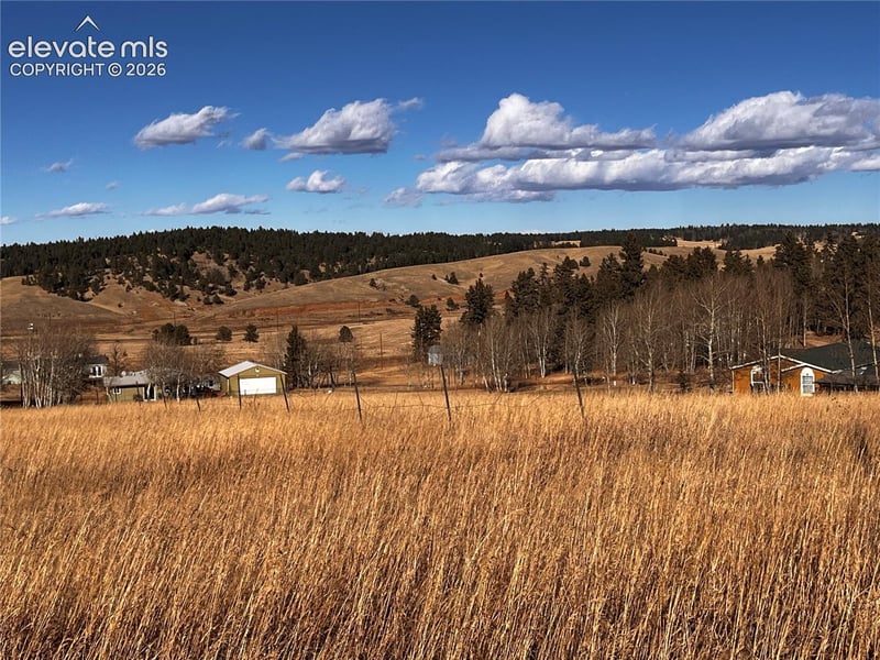 216 Will Scarlet Dr, Divide, CO 80814