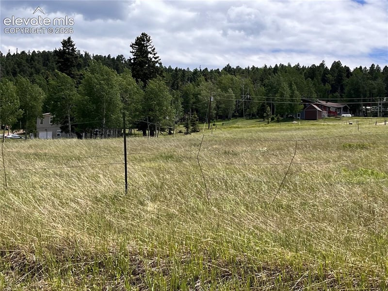 216 Will Scarlet Dr, Divide, CO 80814