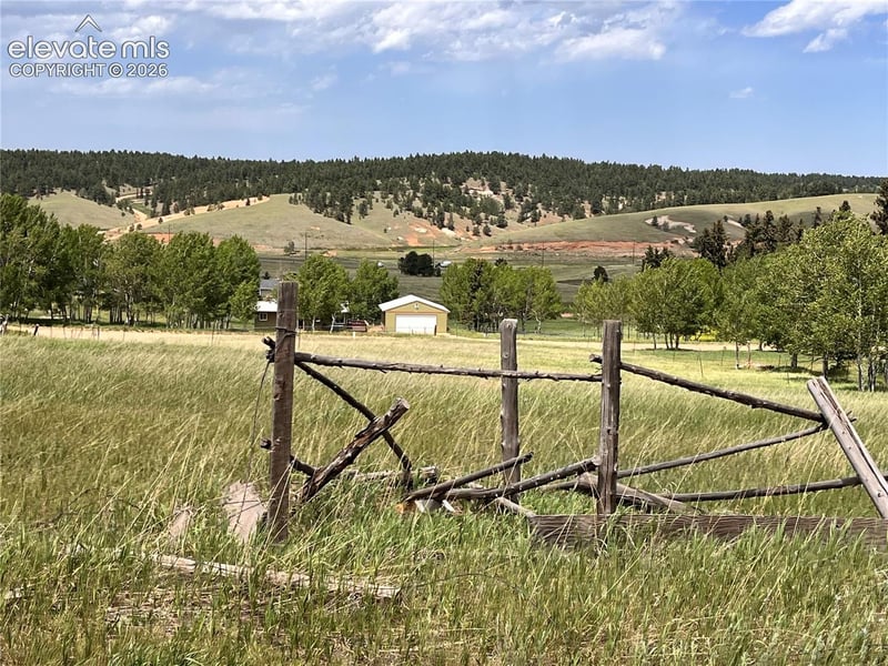 216 Will Scarlet Dr, Divide, CO 80814