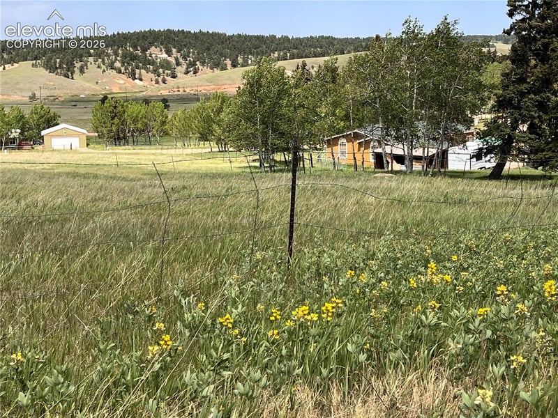216 Will Scarlet Dr, Divide, CO 80814