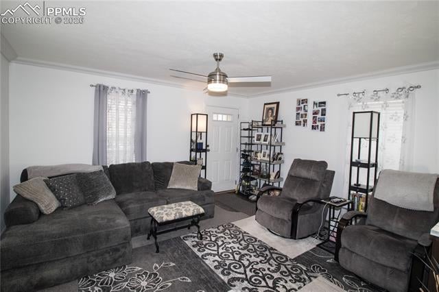 218 W Thurlow Ave, Cripple Creek, CO 80813