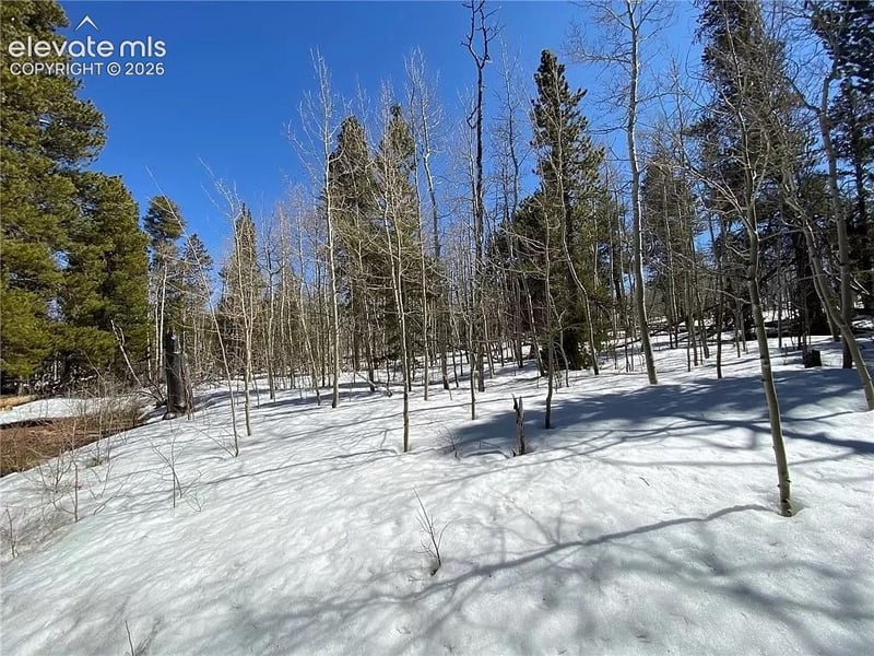 2202 High Creek Rd, Fairplay, CO 80440
