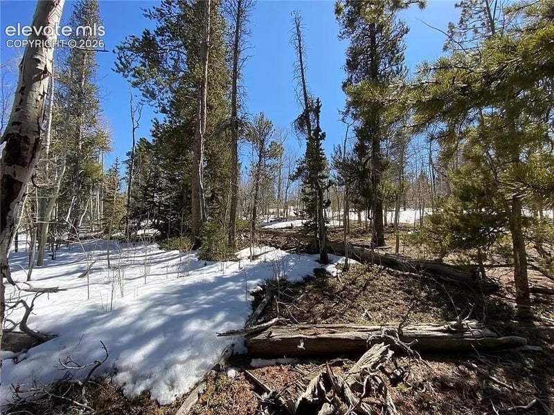 2202 High Creek Rd, Fairplay, CO 80440