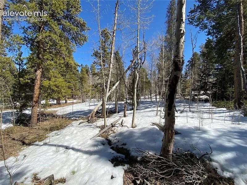 2202 High Creek Rd, Fairplay, CO 80440