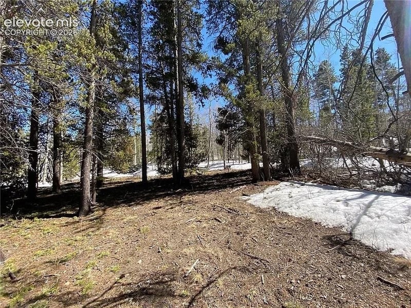 2202 High Creek Rd, Fairplay, CO 80440