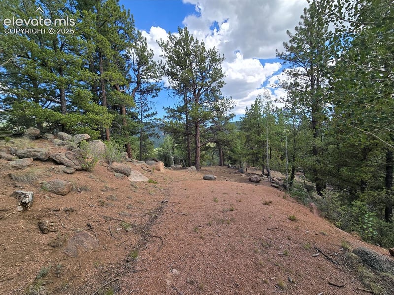 222 Blue Spruce Rd, Divide, CO 80814
