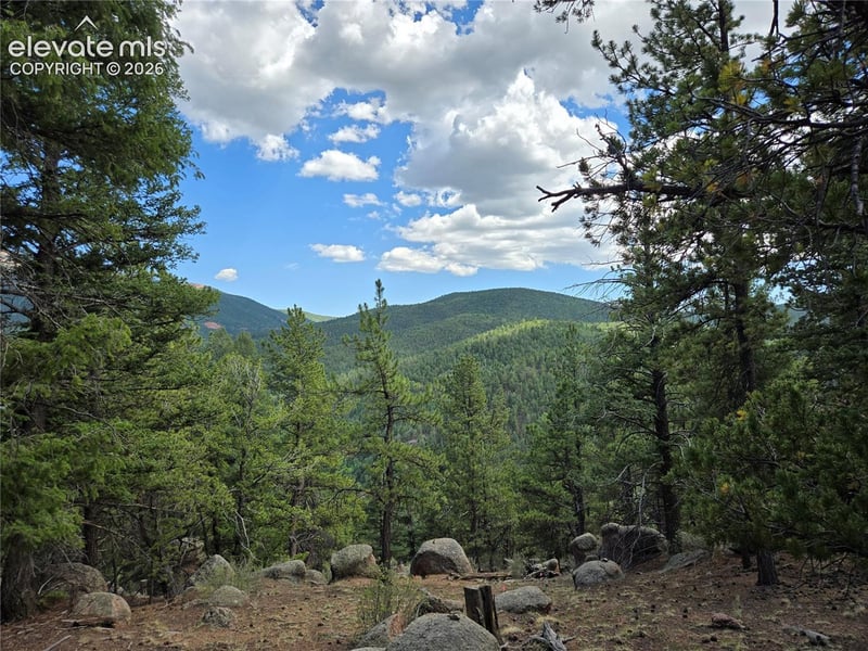 222 Blue Spruce Rd, Divide, CO 80814