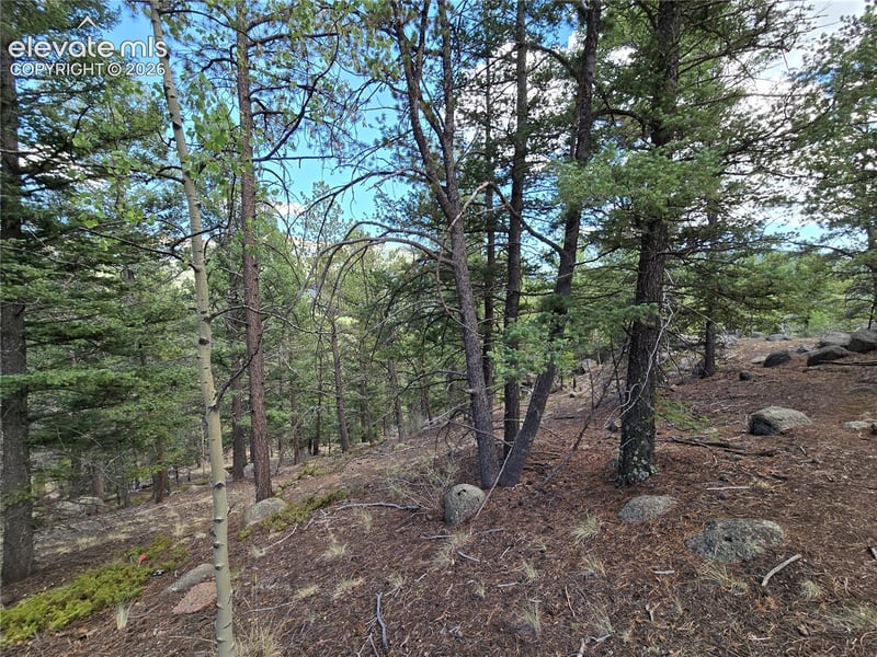 222 Blue Spruce Rd, Divide, CO 80814