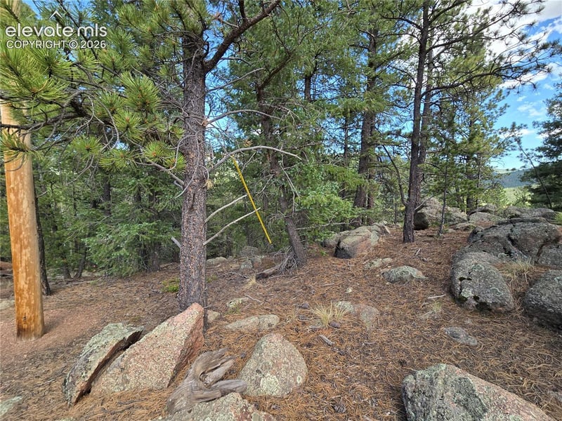 222 Blue Spruce Rd, Divide, CO 80814
