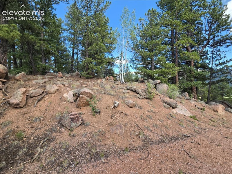 222 Blue Spruce Rd, Divide, CO 80814