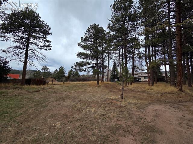 224 S Fairview St, Woodland Park, CO 80863