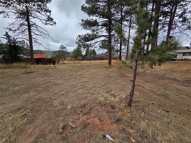 224 S Fairview St, Woodland Park, CO 80863