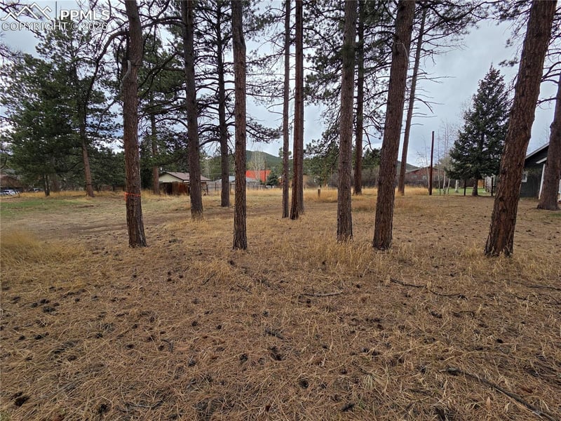 224 S Fairview St, Woodland Park, CO 80863