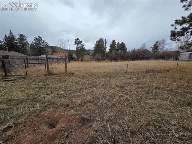 224 S Fairview St, Woodland Park, CO 80863