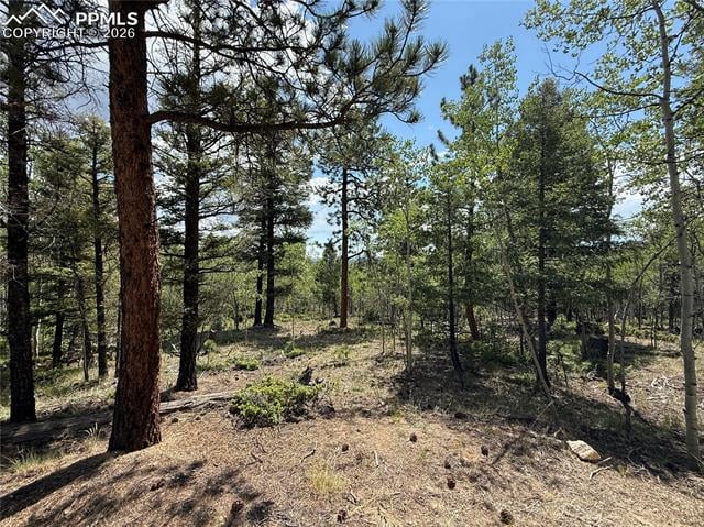 242 Apache Creek Dr, Florissant, CO 80816