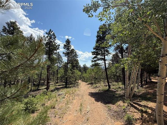242 Apache Creek Dr, Florissant, CO 80816