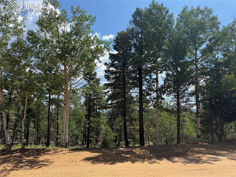 242 Apache Creek Dr, Florissant, CO 80816