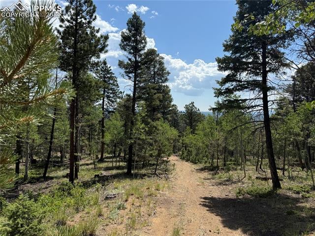 242 Apache Creek Dr, Florissant, CO 80816