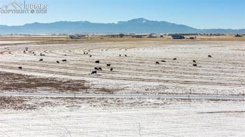 24500 E Garrett Rd, Calhan, CO 80808