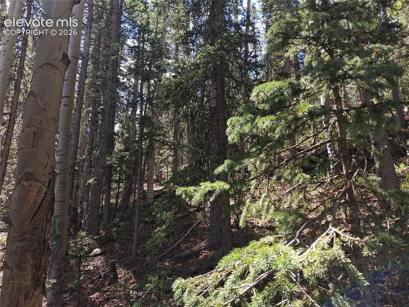 2462 Anges Dr, Cripple Creek, CO 80813