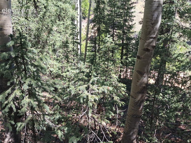 2462 Anges Dr, Cripple Creek, CO 80813