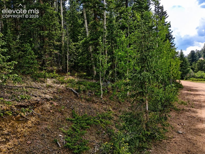 2462 Anges Dr, Cripple Creek, CO 80813