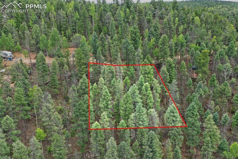 251 Osoeola Rd, Woodland Park, CO 80863