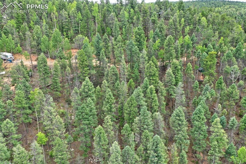251 Osoeola Rd, Woodland Park, CO 80863