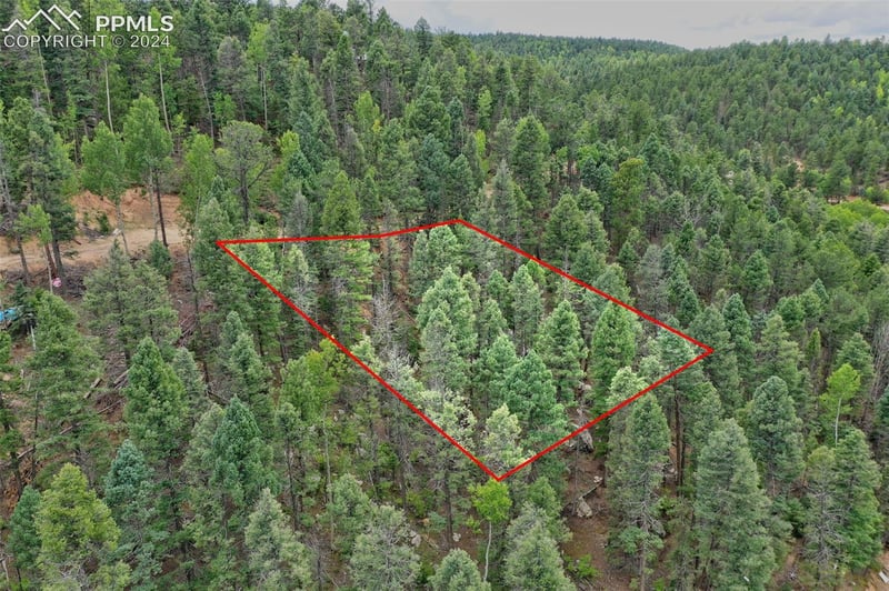 251 Osoeola Rd, Woodland Park, CO 80863