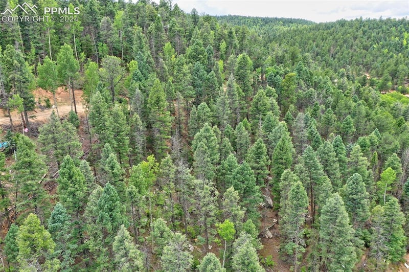 251 Osoeola Rd, Woodland Park, CO 80863