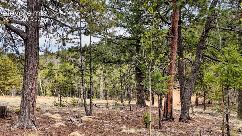 259 Potlatch Trl, Woodland Park, CO 80863