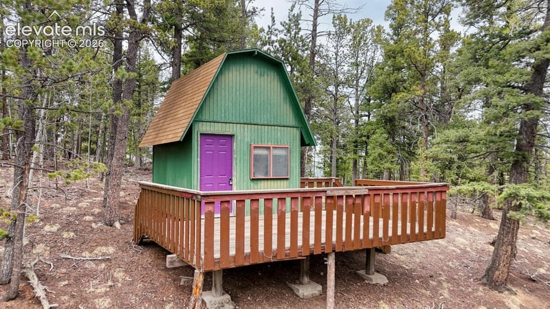 259 Potlatch Trl, Woodland Park, CO 80863