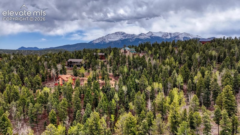 259 Potlatch Trl, Woodland Park, CO 80863
