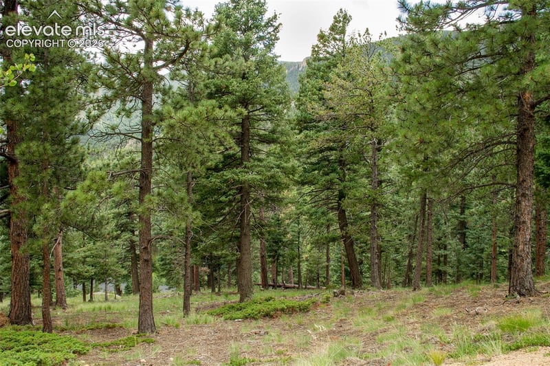 266 Aspen Ridge Rd, Manitou Springs, CO 80829