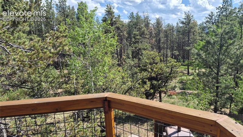 276 Oxford Pl, Florissant, CO 80816