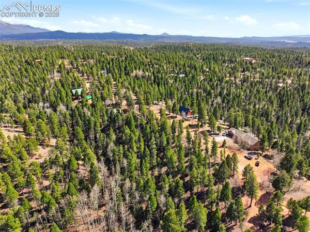 278 Cherry Lake Dr, Divide, CO 80814