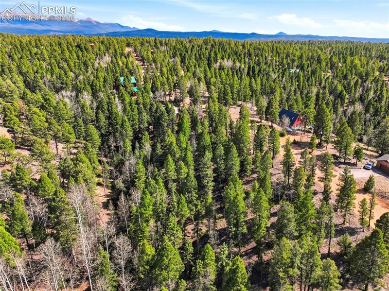 278 Cherry Lake Dr, Divide, CO 80814
