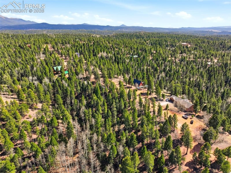 278 Cherry Lake Dr, Divide, CO 80814