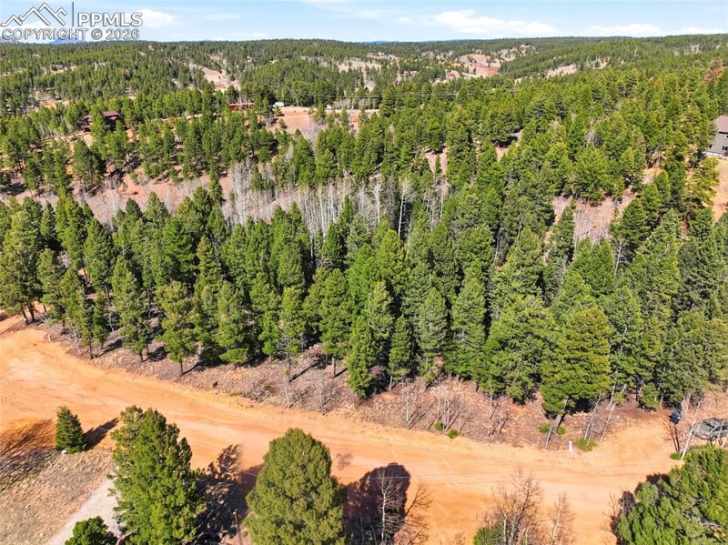 278 Cherry Lake Dr, Divide, CO 80814