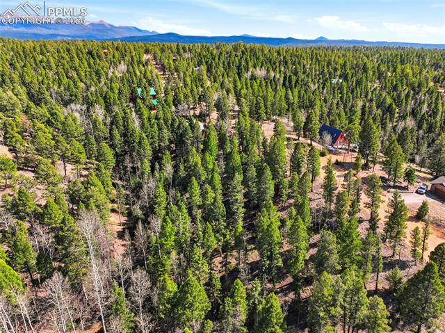 278 Cherry Lake Dr, Divide, CO 80814