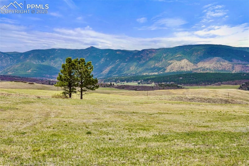 2801 Verbena Dr, Larkspur, CO 80118