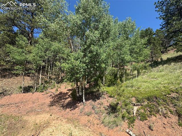 281 Pikes Peak Dr, Divide, CO 80814
