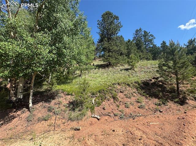 281 Pikes Peak Dr, Divide, CO 80814