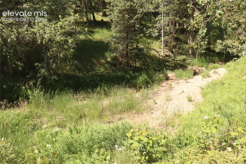286 Coffee Rd, Manitou Springs, CO 80829