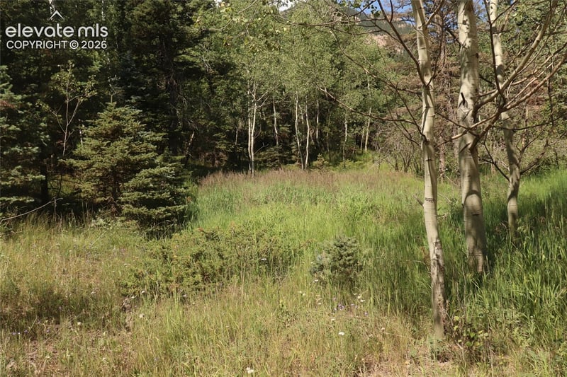 286 Coffee Rd, Manitou Springs, CO 80829